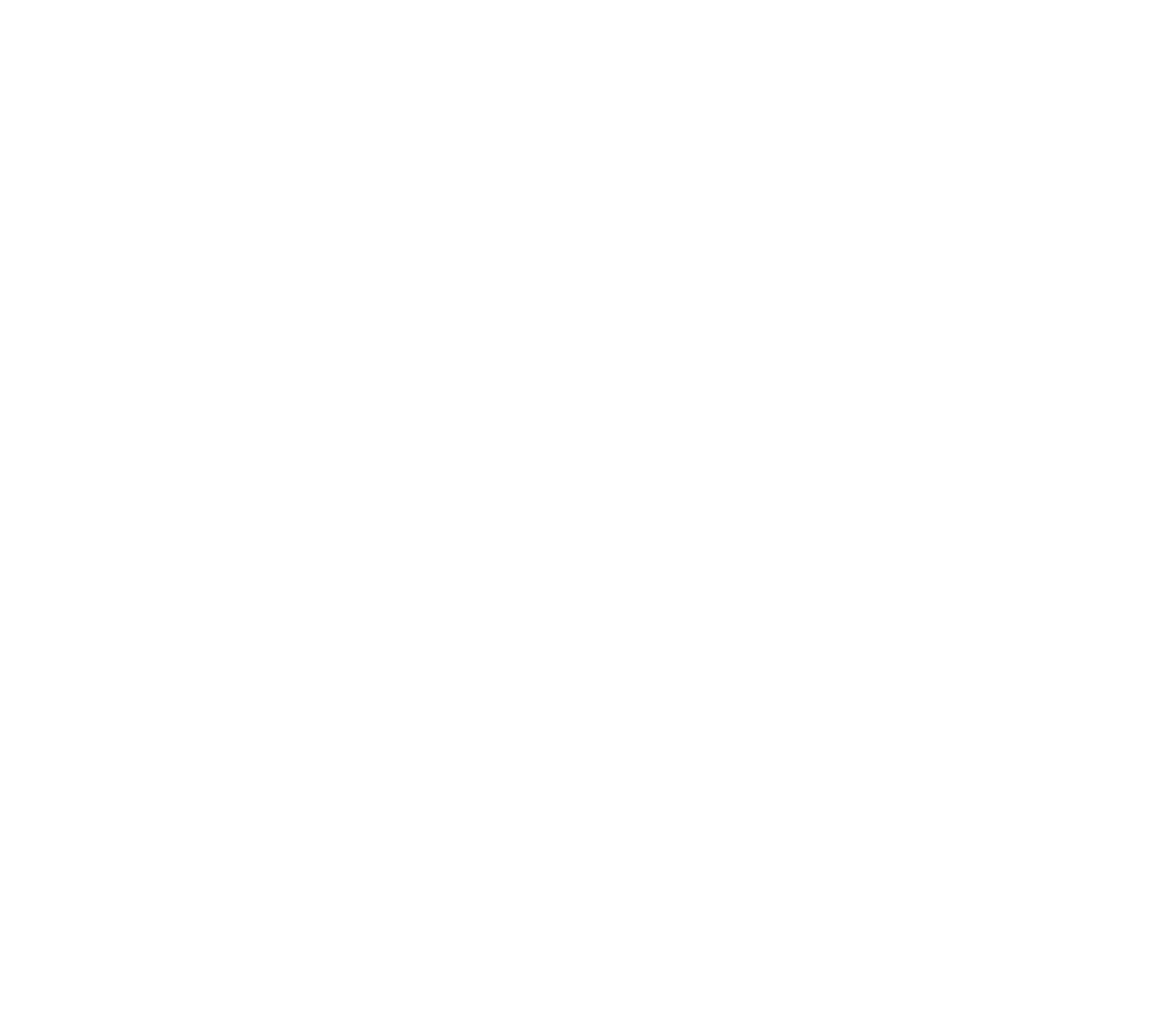 Princeps Electronics